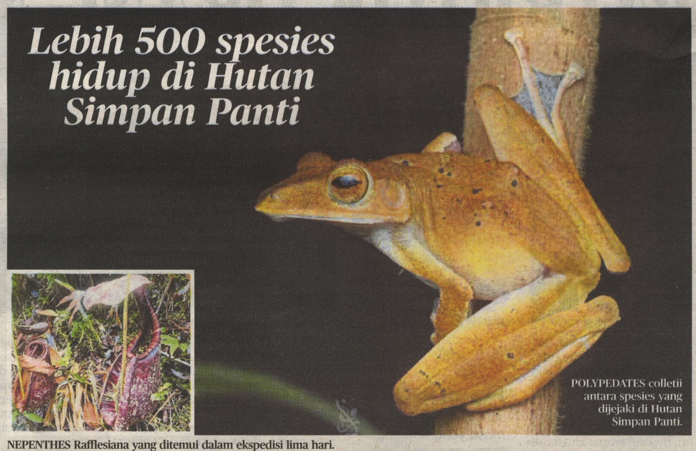 Keratan Akhbar: Lebih 500 spesies hidup di Hutan Simpan Panti