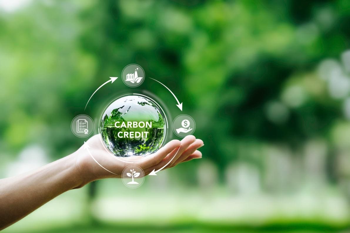 Carbon Trading: For Sustainability OR Profit?