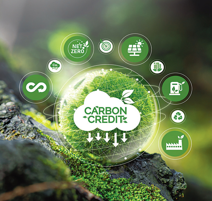 Malaysia’s carbon credit trading: A growing business with sustainable impact