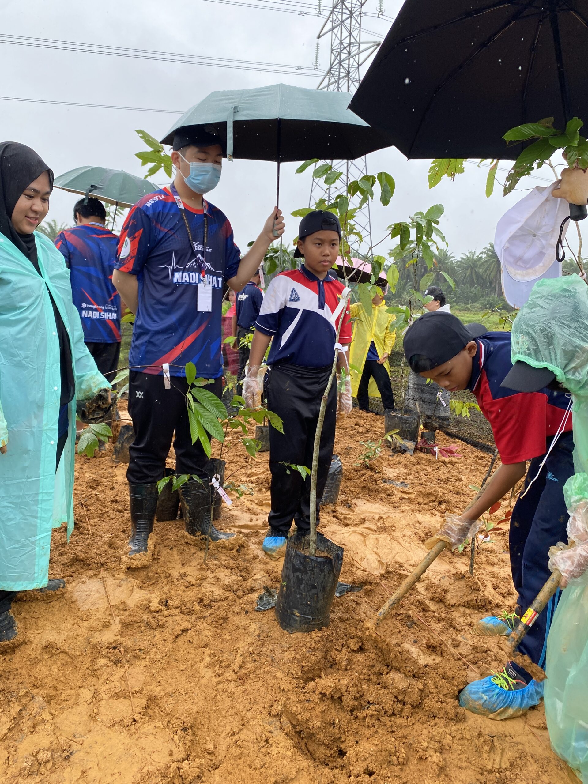 UTHM green initiative utilises Miyawaki method to spearhead biodiversity restoration in Pagoh
