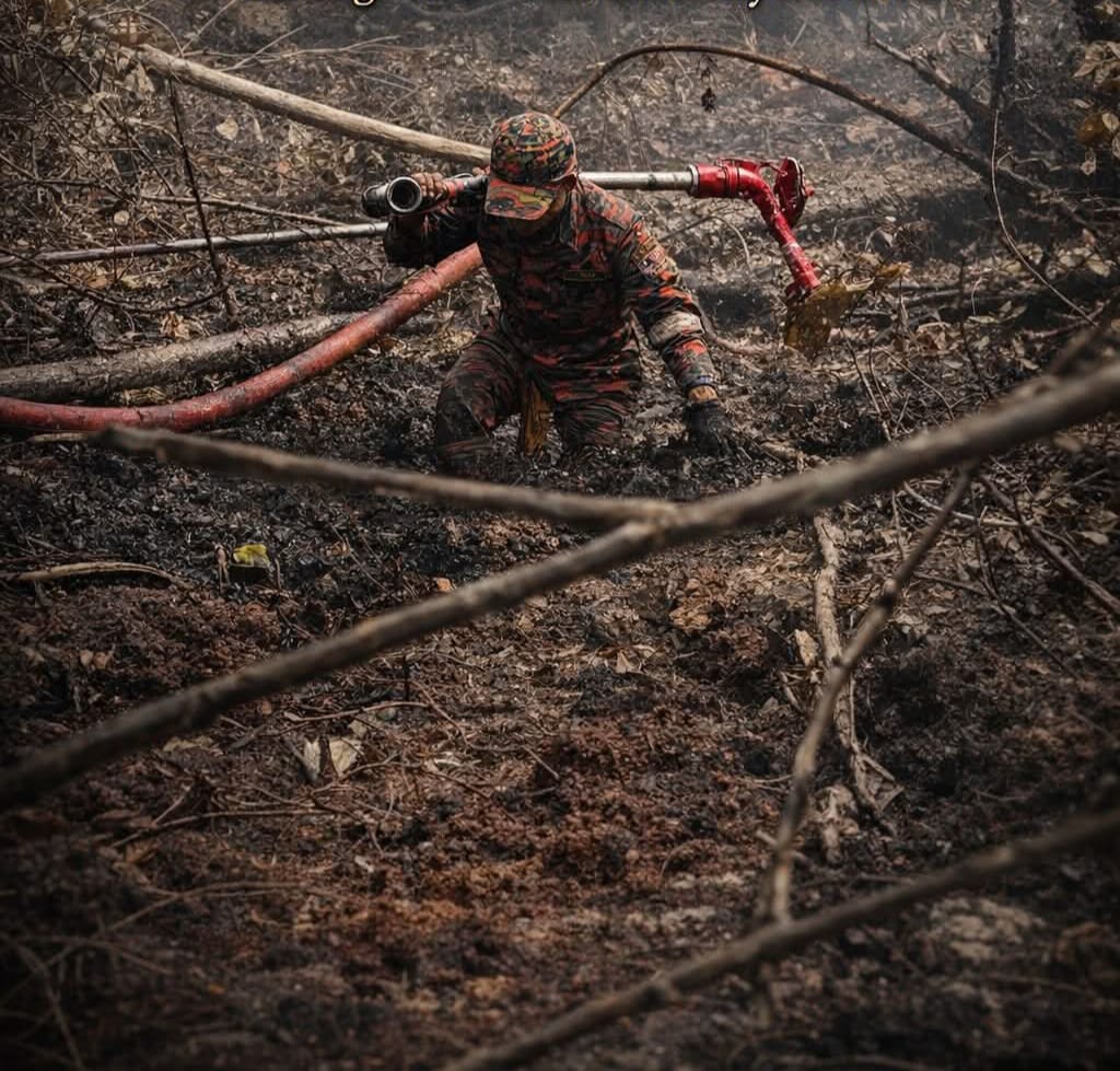 Kebakaran hutan gambut Pengerang, cabaran kesihatan dan alam sekitar